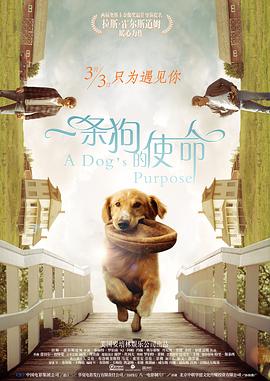 亚洲国产精品久久精品成人