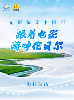 老女人逼