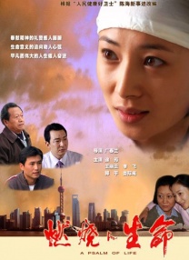国内久久久久高清影视