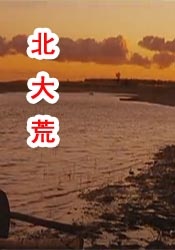 午夜一级大片