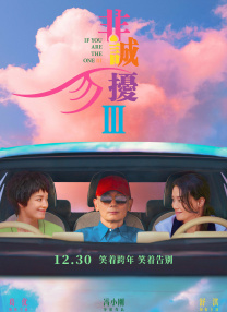 我美丽的婆婆2020