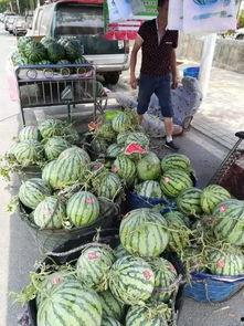 博乐吃瓜网红事件