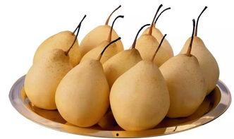 普宁吃瓜爆料,揭秘当地热点事件背后的真相