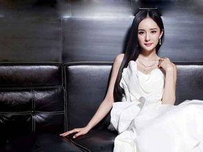 吃瓜八卦娱乐圈杨幂